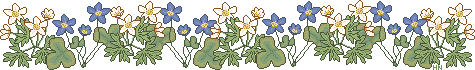 sprln1c.gif sprln1c.gif